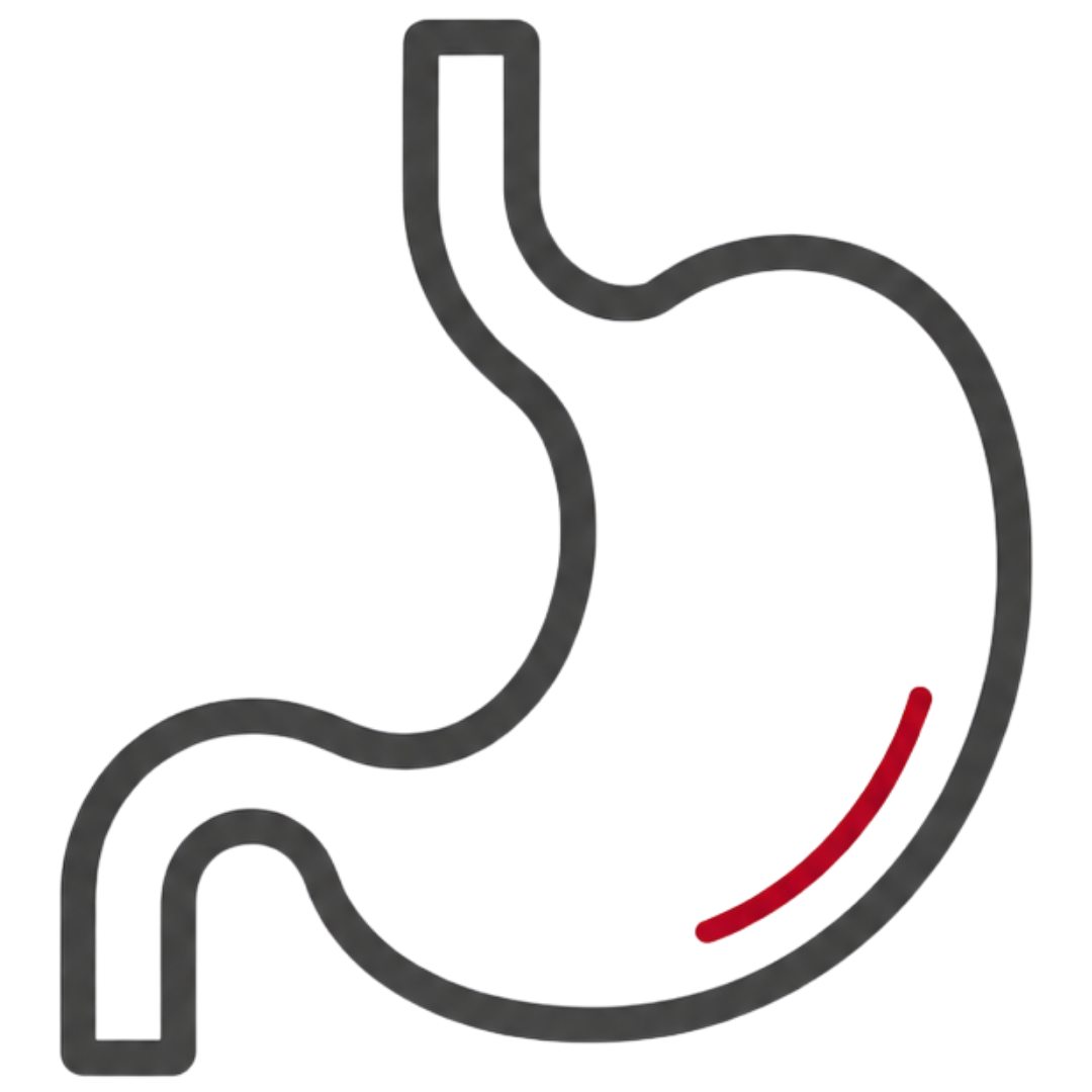 DIGESTIVA