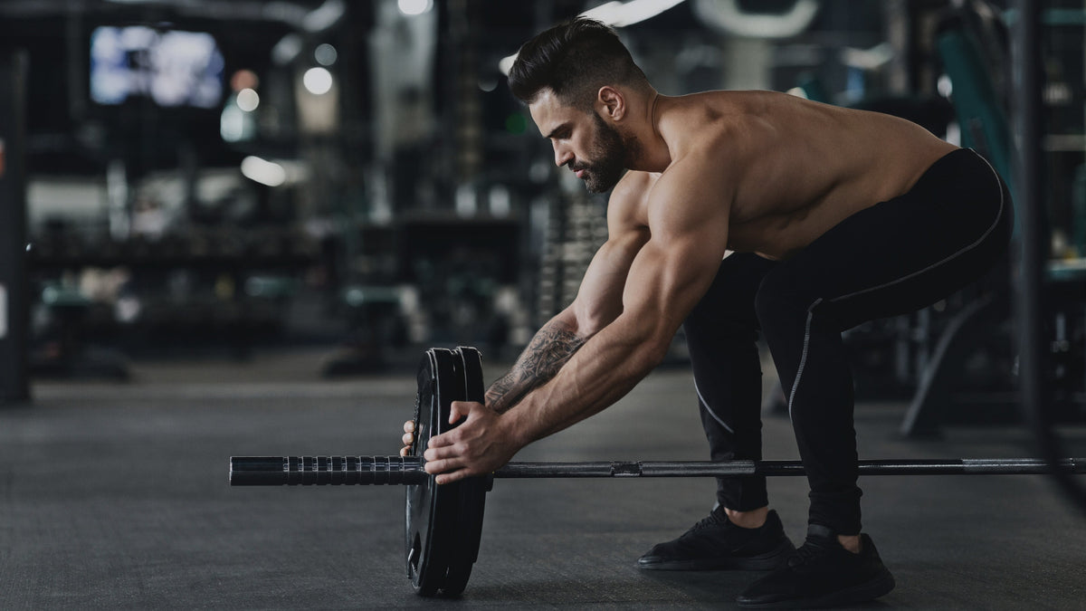 Gainers & Carbohidratos