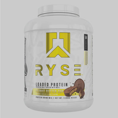 LOADED PROTEIN DE RYSE